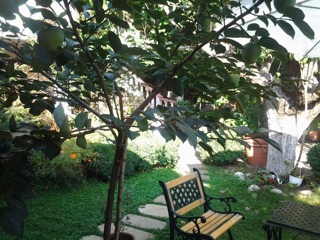Sofia Rooms Калампака Екстериор снимка